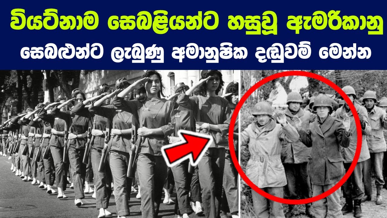 වියට්නාම සෙබළියන්ට හසුවූ ඇමරිකානු සෙබළුන්ට ලැබුණු අමානුෂික දඬුවම් |The Women Who Won the Vietnam War