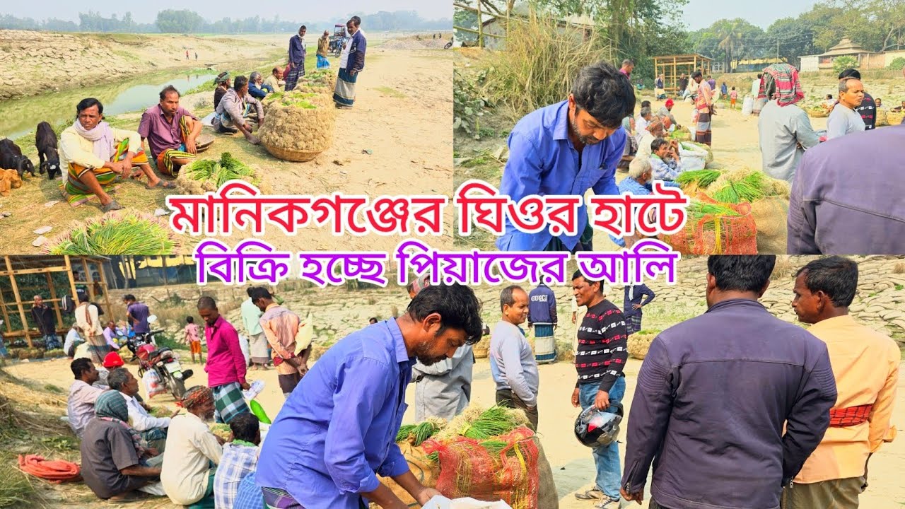 মানিকগঞ্জের ঐতিহ্যবাহী ঘিওর হাটে সস্তায় বিক্রি হচ্ছে আলি পেয়াজ। 