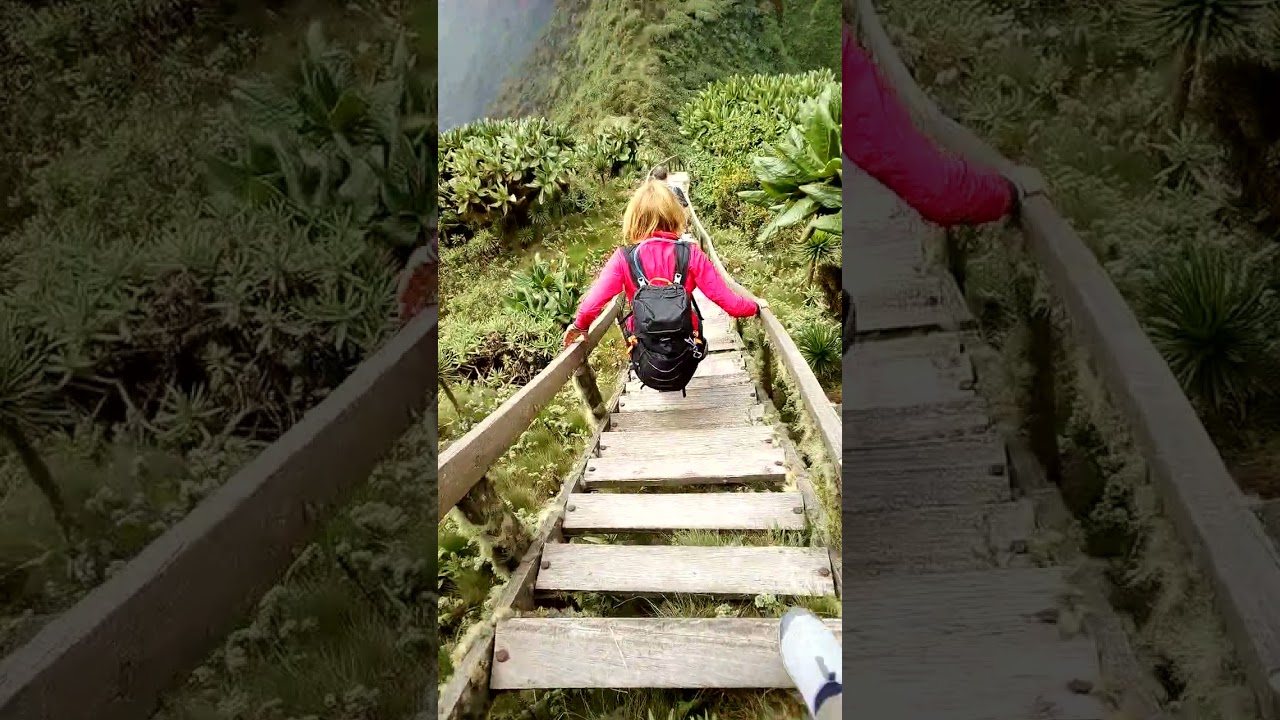 The hike to Mt. Sabinyo in Kisoro