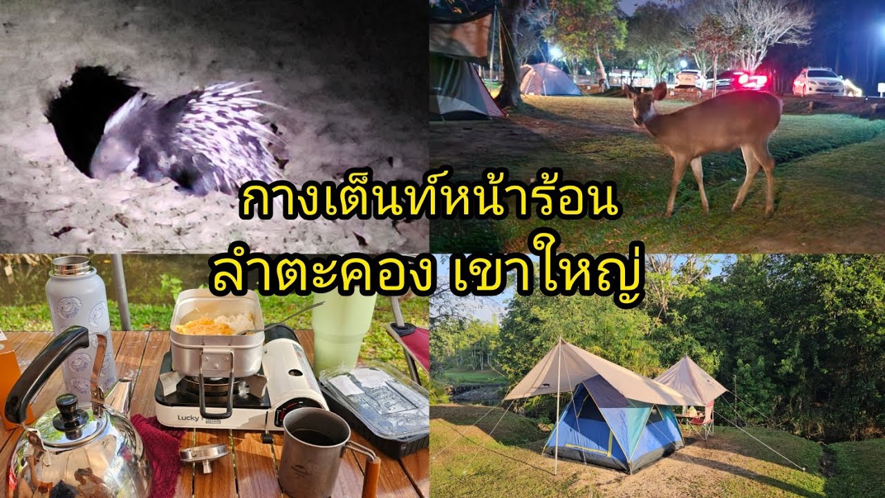 กางเต็นท์หน้าร้อน ลำตะคอง เขาใหญ่