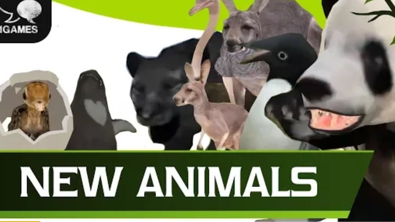 NEW ANİMALS 