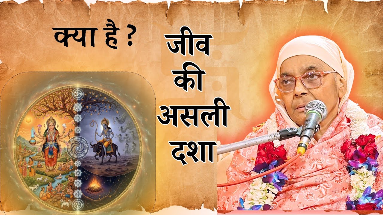 जीव की असली दशा | Gargi Bai Ji - Satsang | Nangli Sahib| SSDN | Nangli Dham