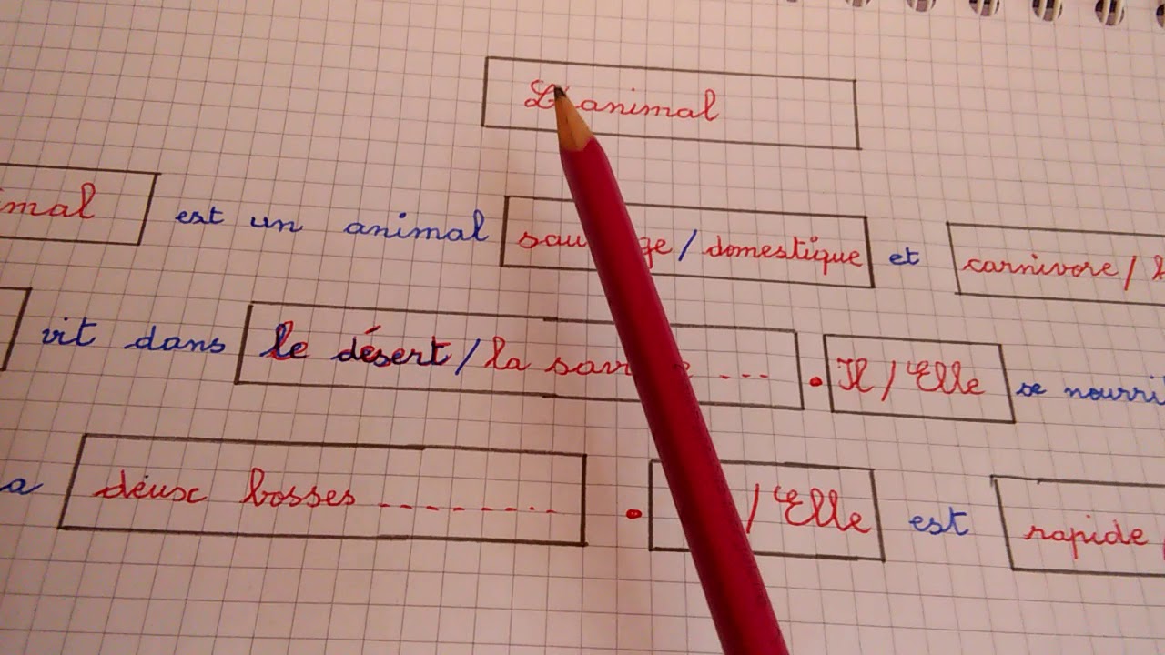 5AP/production écrite/Décrire un animal