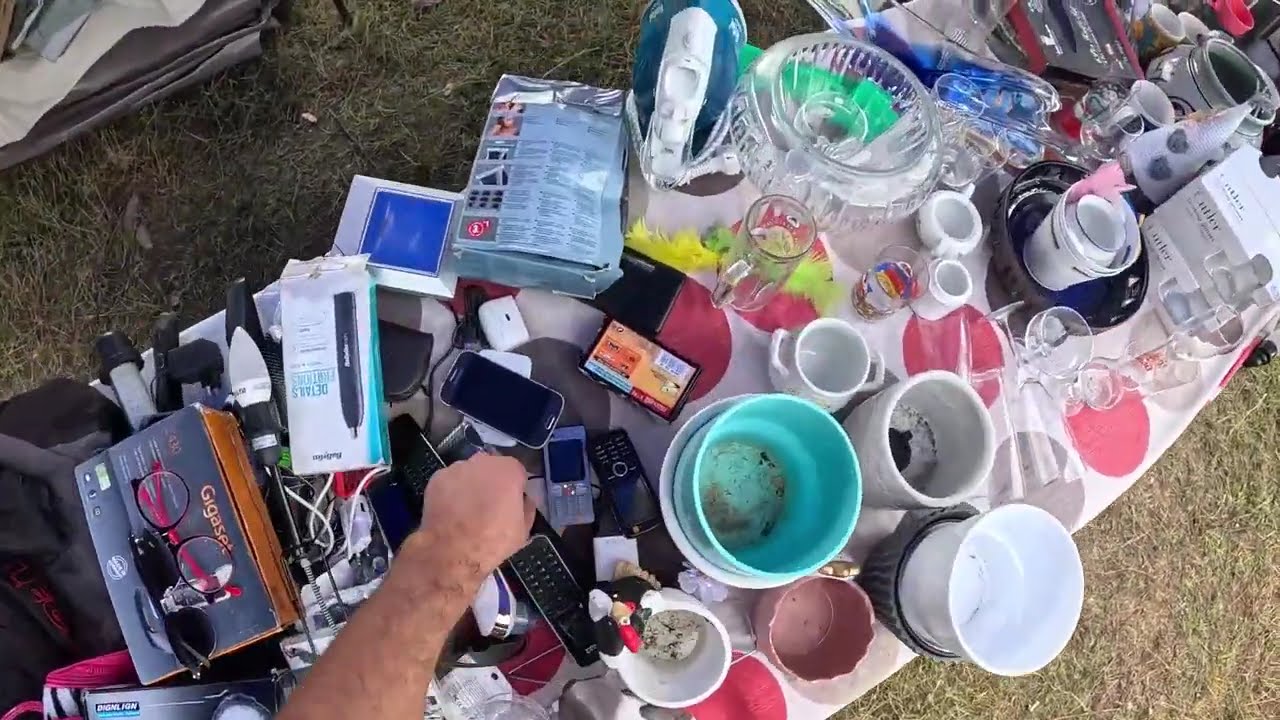 Targul de la Baia de Fier,  „Coborâtul oilor de la munte” , un peisaj absolut uimitor!