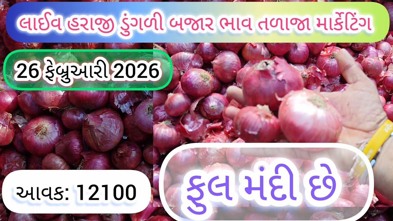 26 February 2026 | ડુંગળી બજાર ભાવ તળાજા માર્કેટિંગ યાર્ડમાં | ડુંગળી બજાર ભાવ મંદી છે | 