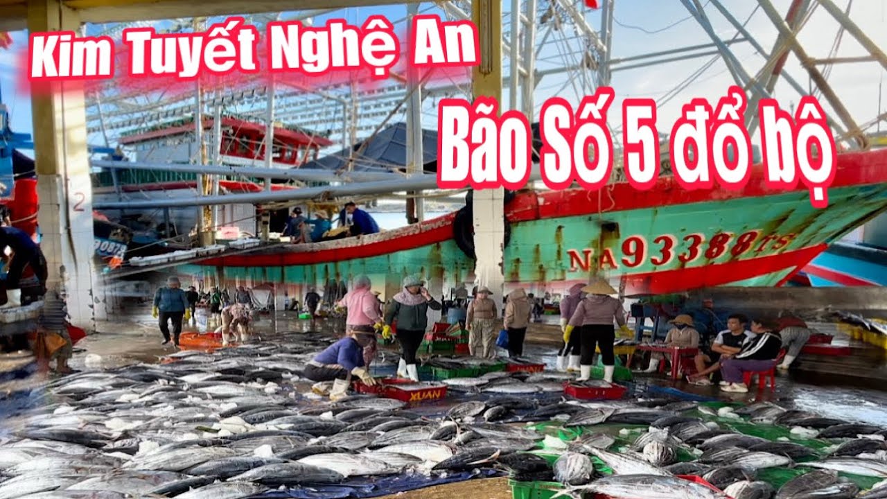 Siêu Mành Chụp Kiếm Tiền Tỷ trong Bão Số 5 đang đổ bộ
