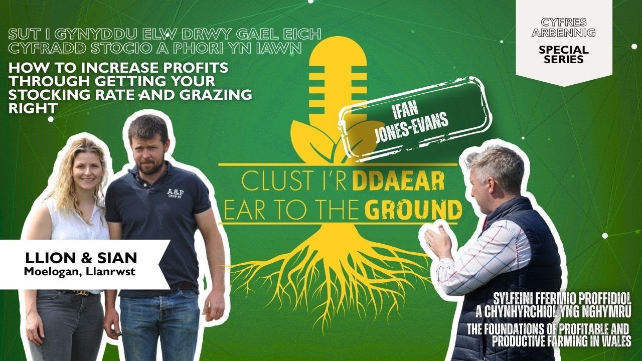 Fferm Moelogan Farm: Elw Drwy Bori: Stocio a Llwyddiant | Profit Through Grazing: Stocking & Success