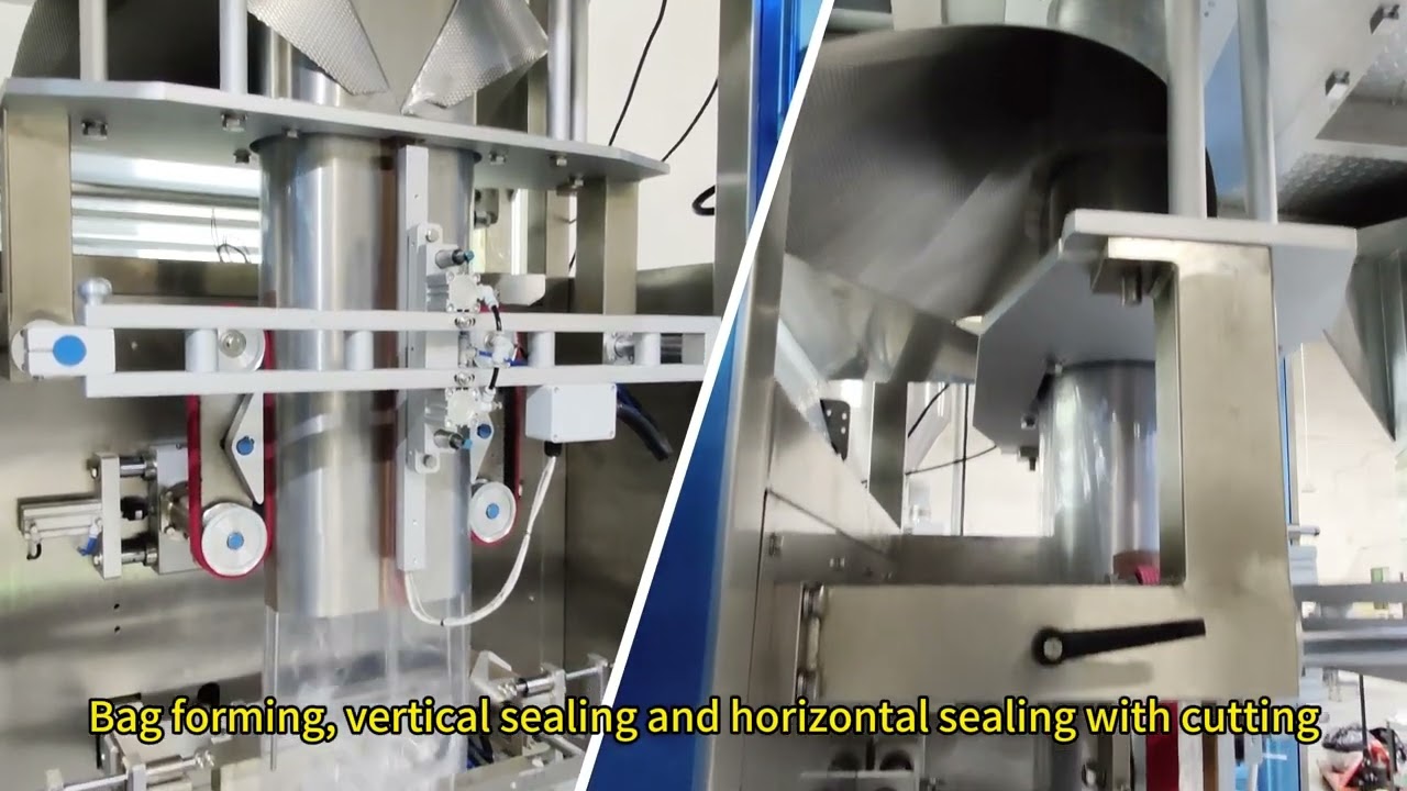frozen food packaging machine