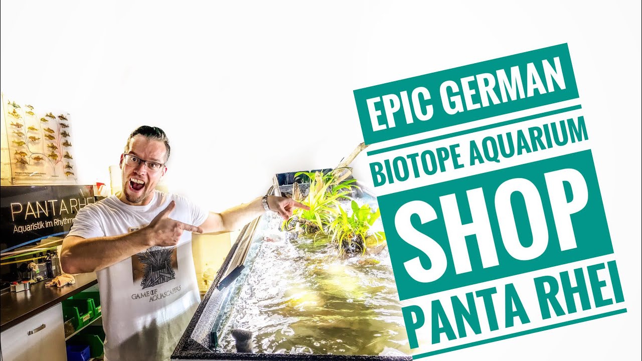 WORLD FAMOUS BIOTOPE AQUARIUM SHOP - Panta Rhei