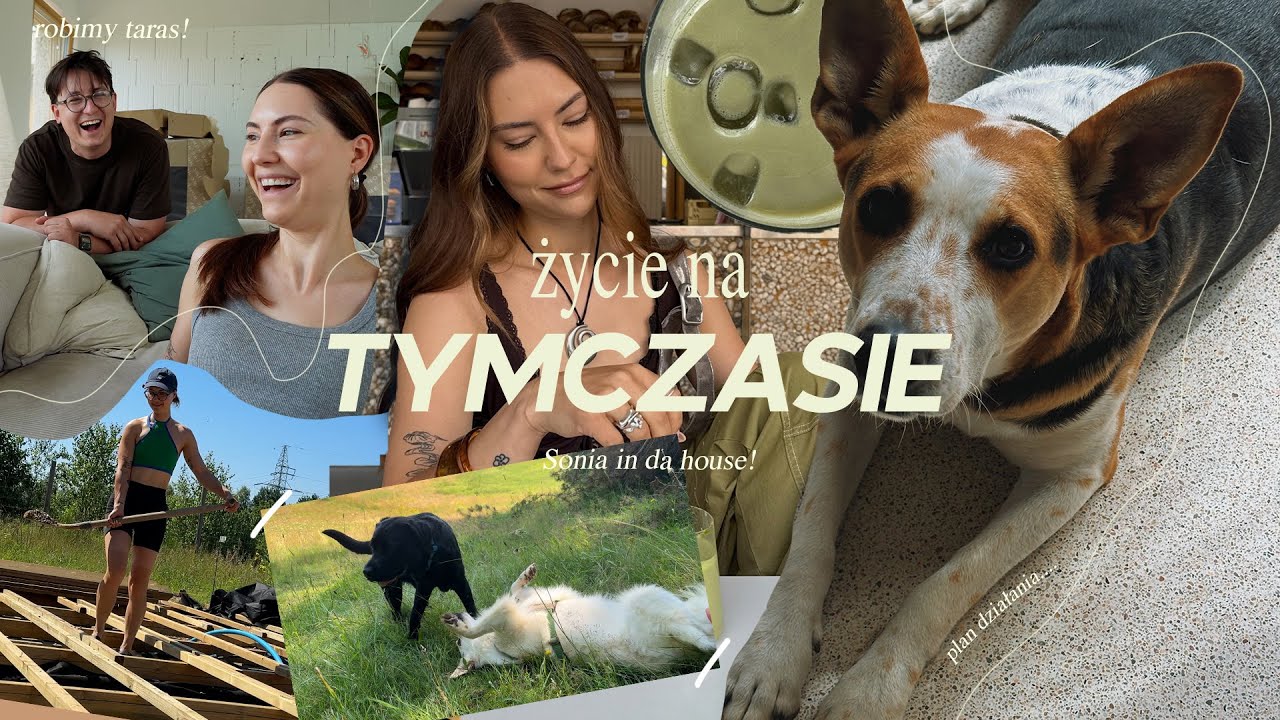 WEEKENDOWY VLOG 🏠/ trzeci piesek / jestem low value woman xD / diy budowa tarasu / plan na Sonie