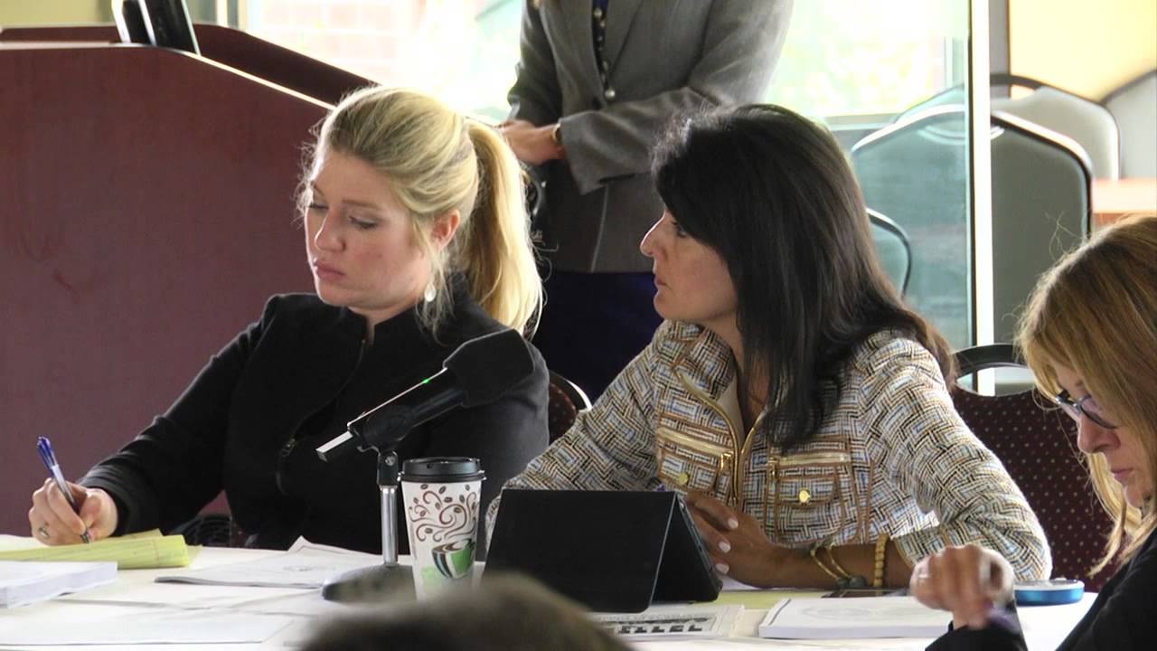 SC Domestic Violence Task Force complains about bad data