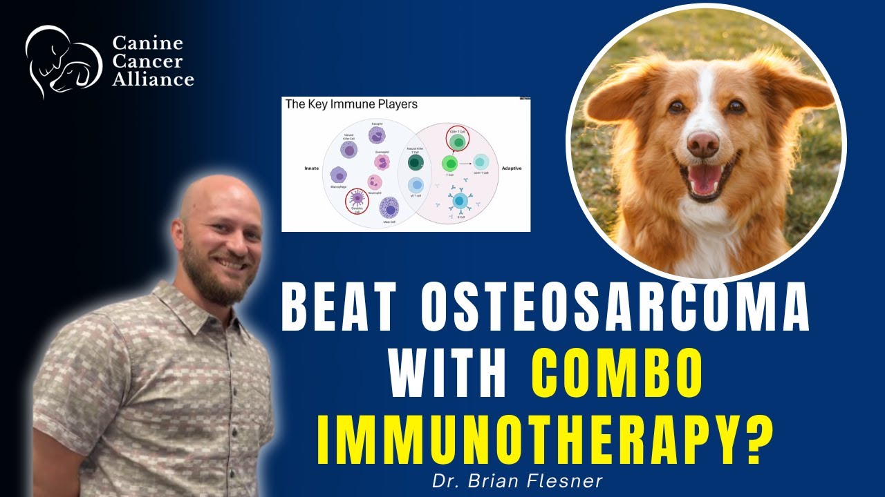 Could This Combination Immunotherapy Help Dogs Beat Osteosarcoma (and other aggressive cancers)?