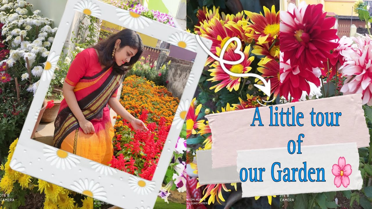 A little tour of our Garden...আমাদের বাগানবিলাস 🌸🌻🦋✨️ 