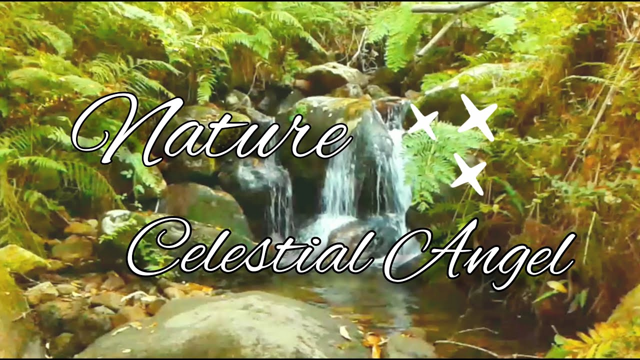 NATURAL RELAX TIBETIAN BELLS💧Celestial angel-para relajar el subsconciente