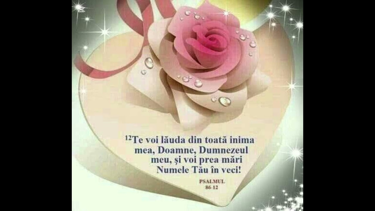 Comoara mea !