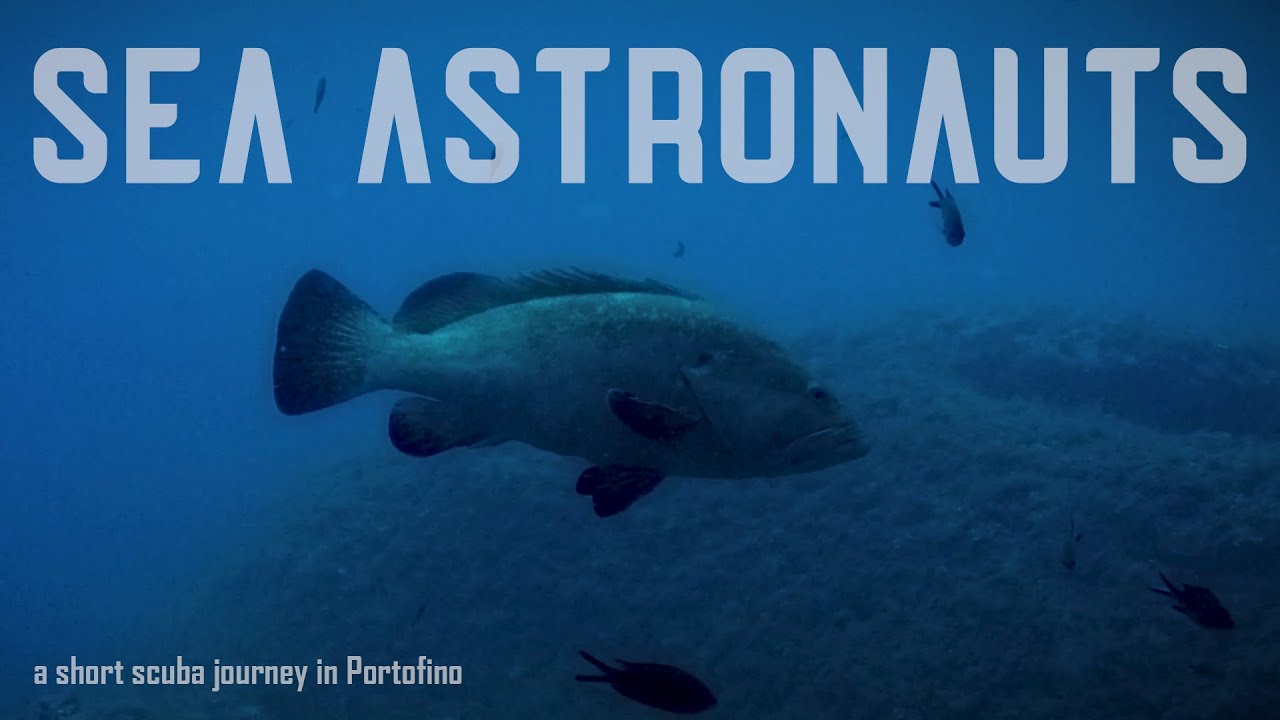 Sea ​​Astronauts - a short scuba journey in Portofino