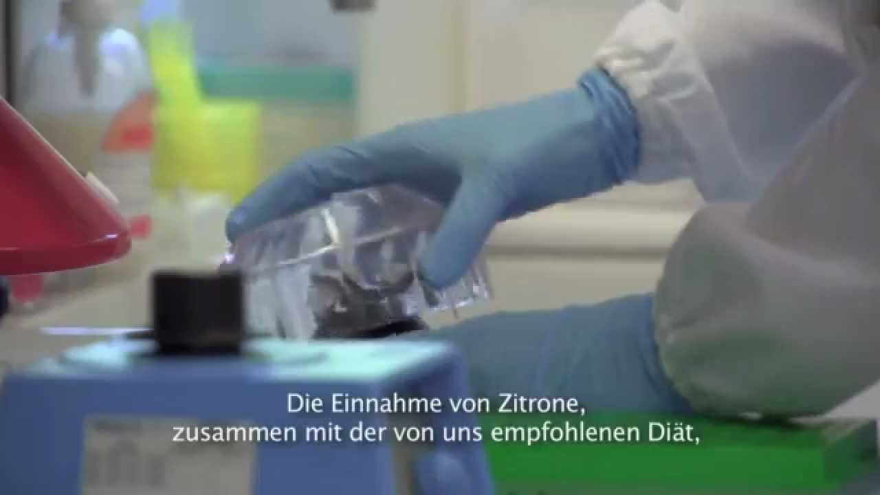 Die versteckten Kräfte der Zitrone