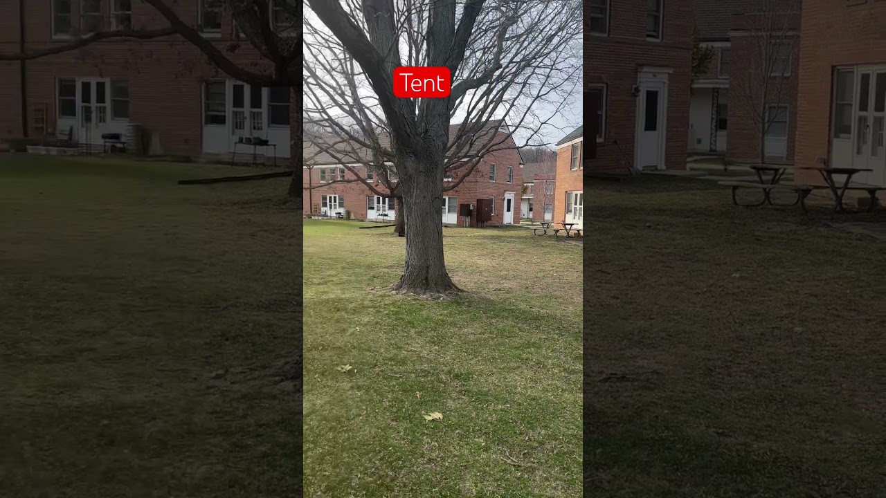 Tent 