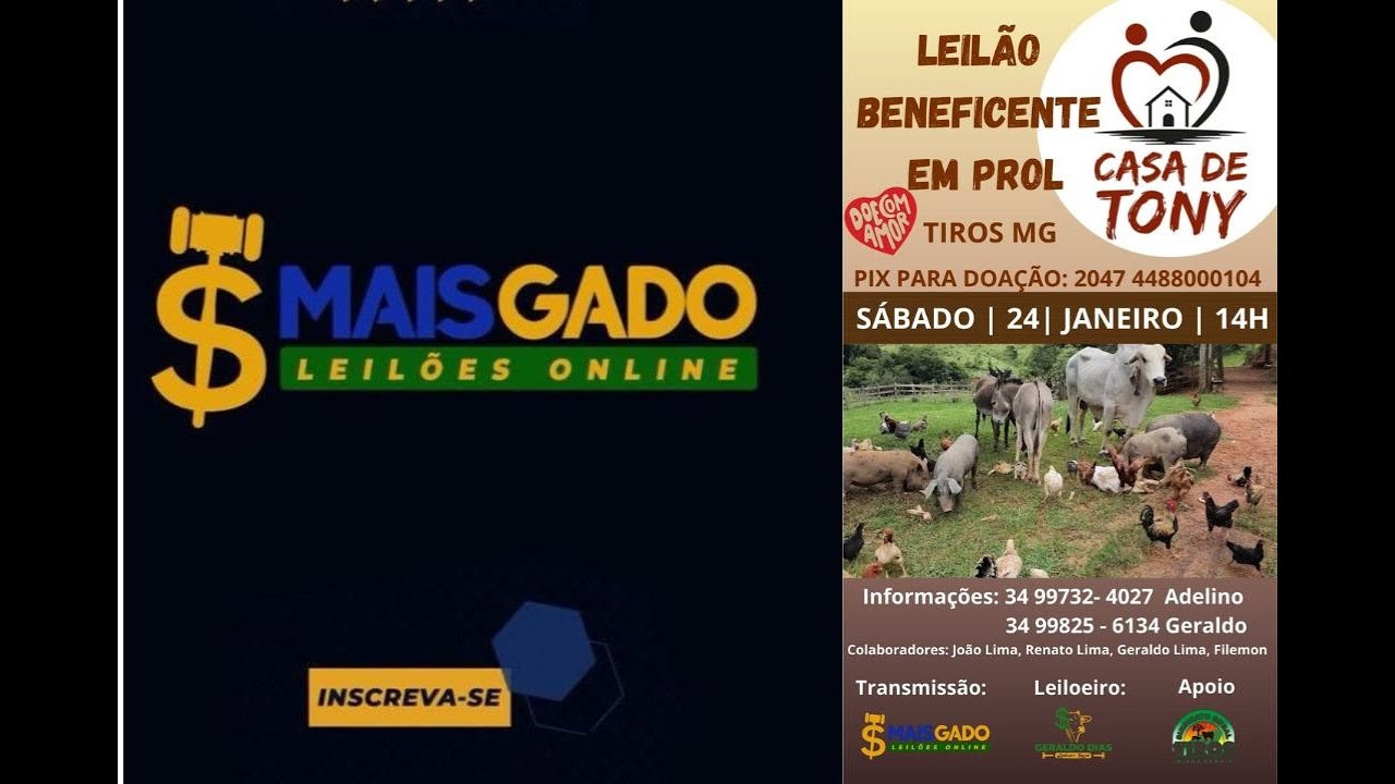 🐂🐄🐃 LEILÃO BENEFICENTE EM PROL DA CASA DE TONY - TIROS MG - MAIS GADO LEILÕES ONLINE 🐂🐄🐃