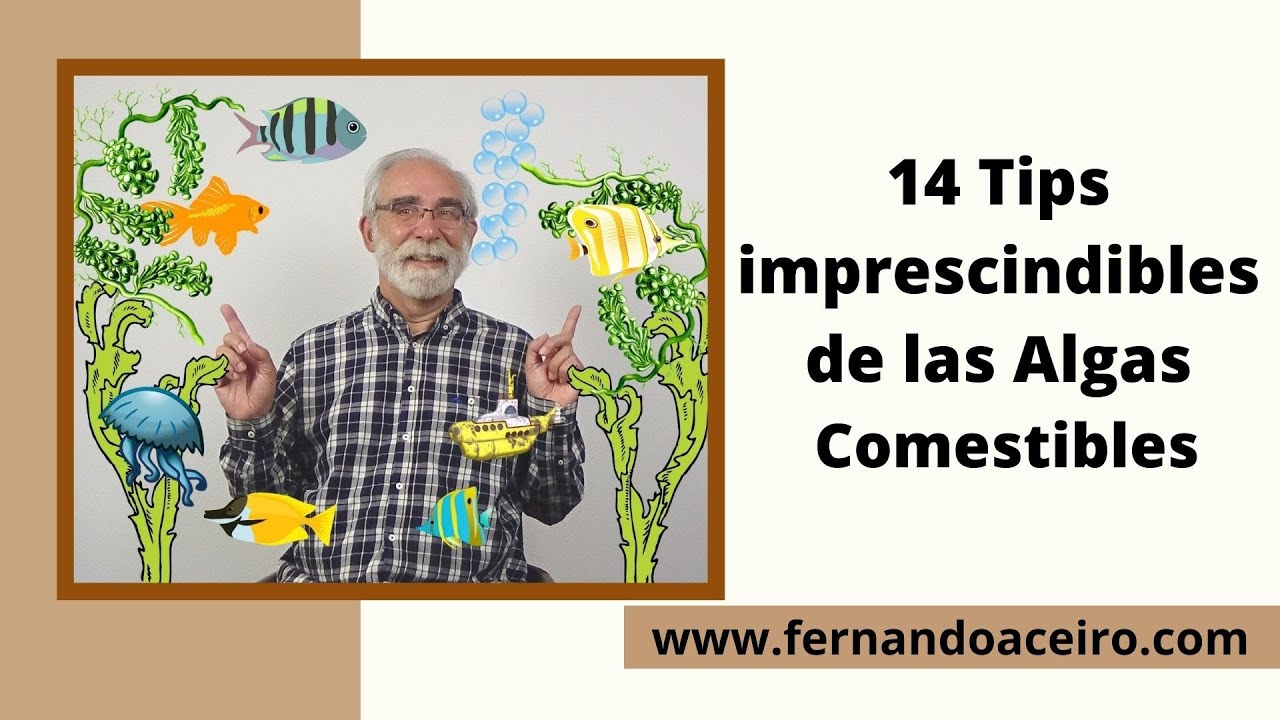 14 Tips Imprescindibles de las Algas Comestibles.🍵