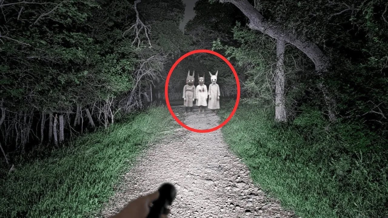 29 ENCUENTROS MÁS ESCALOFRIANTES DE SENDERISTAS CAPTADOS EN CÁMARA   Compilación de Terror V109