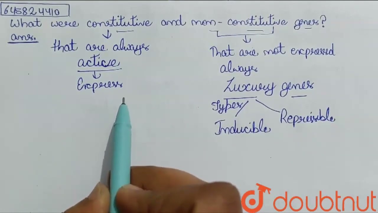 What were constitutive and non - constitutive genes? | CLASS 12 | MOLECULAR BASIS OF INHERITANCE...