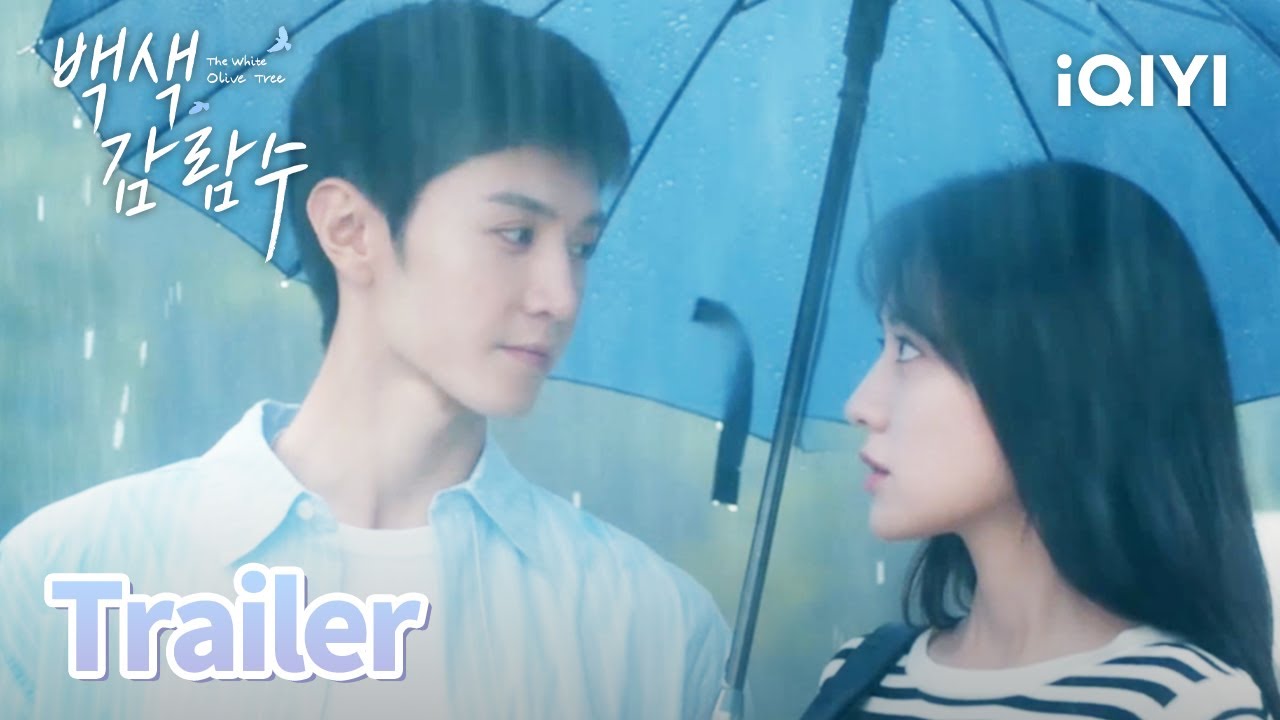 수많은 사람들 속에서 서로가 스치는 순간을잊을 수 없게 해줄 이를 만나길 바랍니다💕 | 백색감람수 예고 | iQIYI Korea