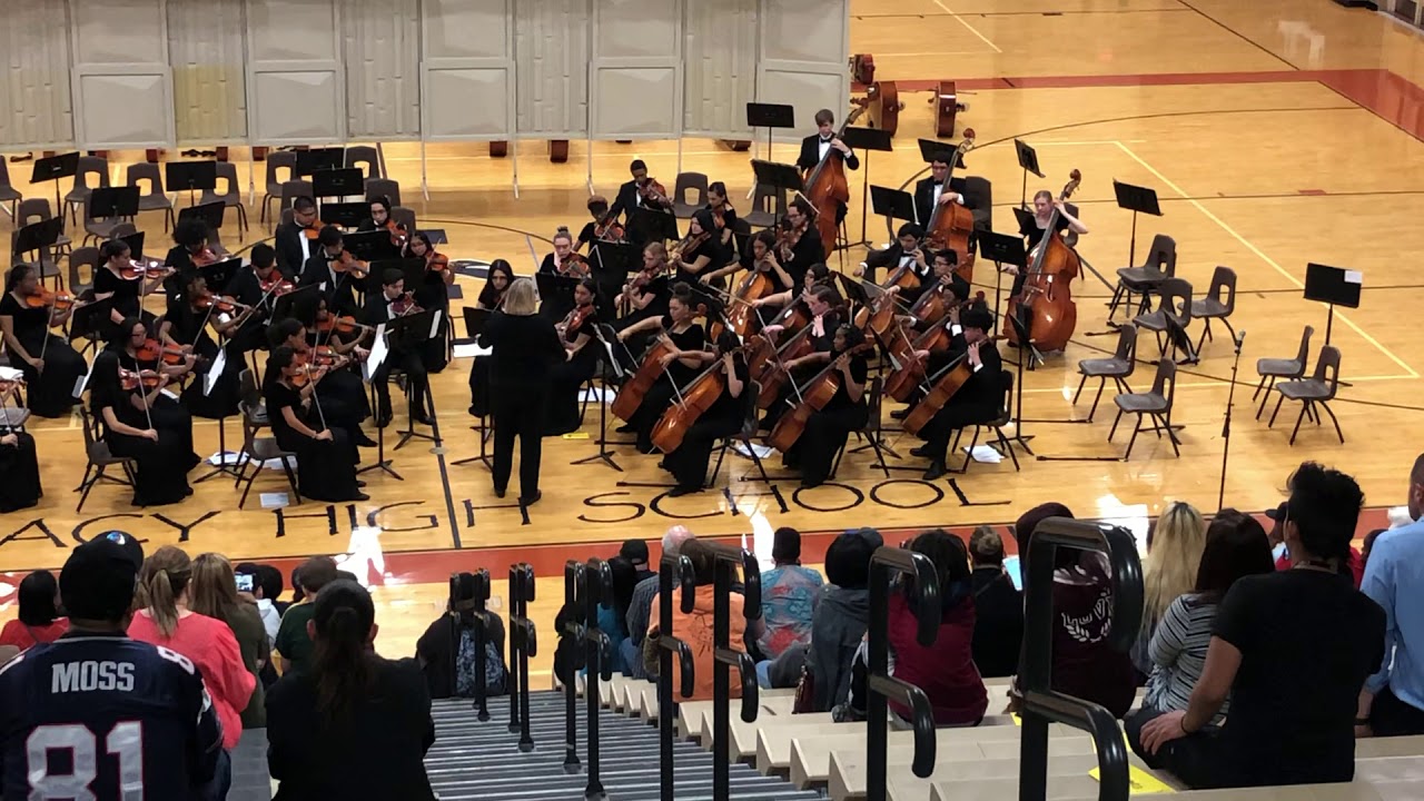 LHS Chamber 2019 Prefest- Butterfly and Flowers