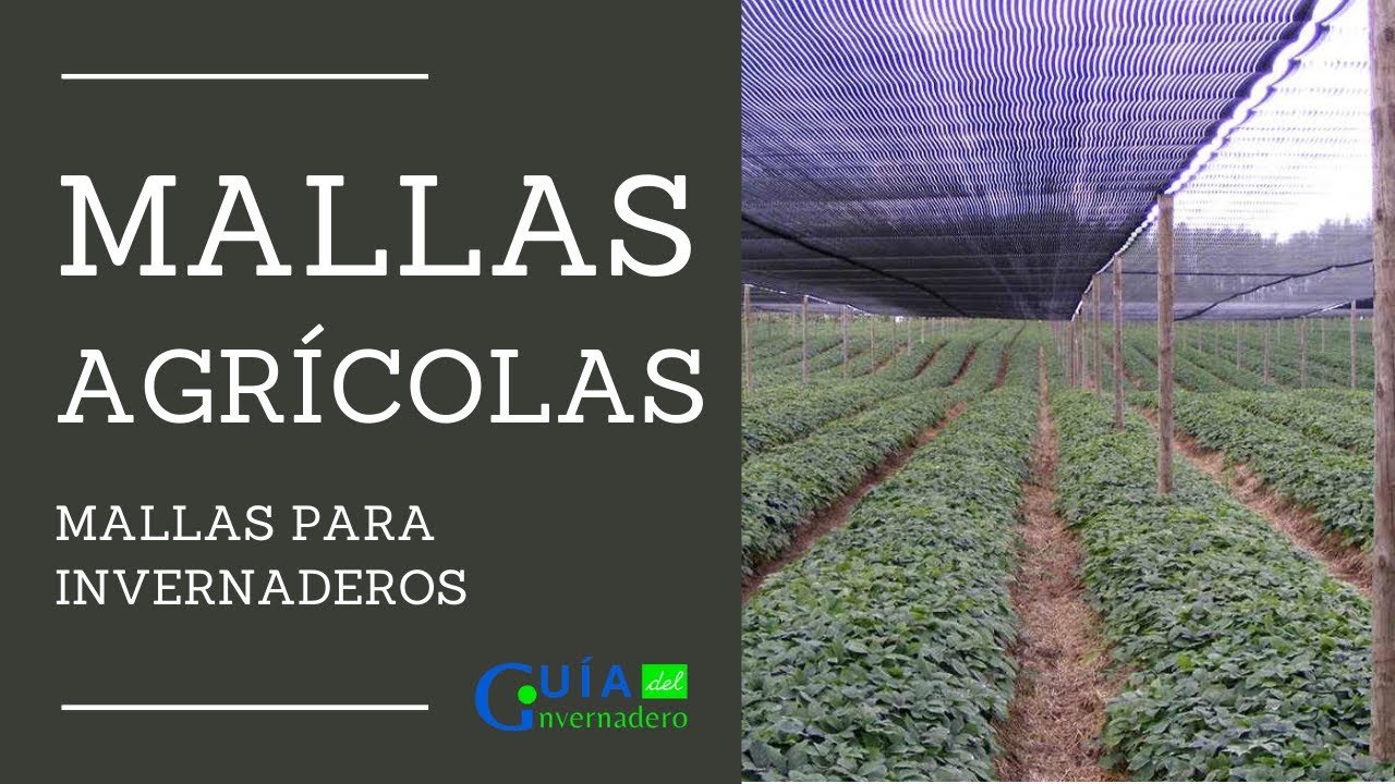 Mallas Agrícolas para Invernaderos.