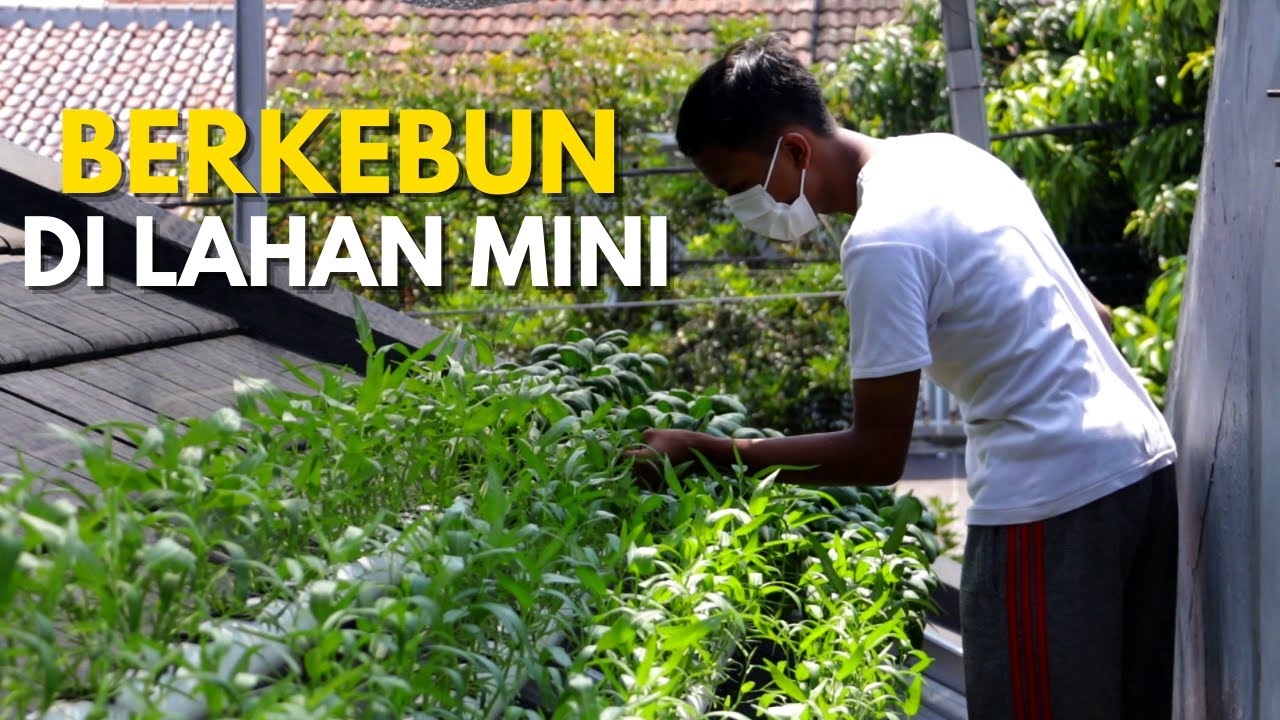 Inspirasi Kebun Mini