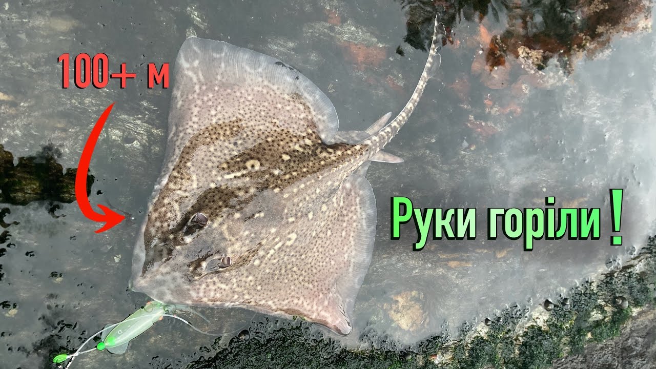 100+ метрів глибини. Я не чекав цей улов🤩