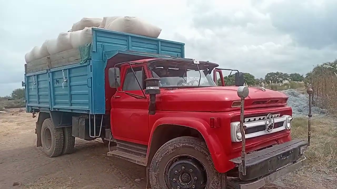El chivo