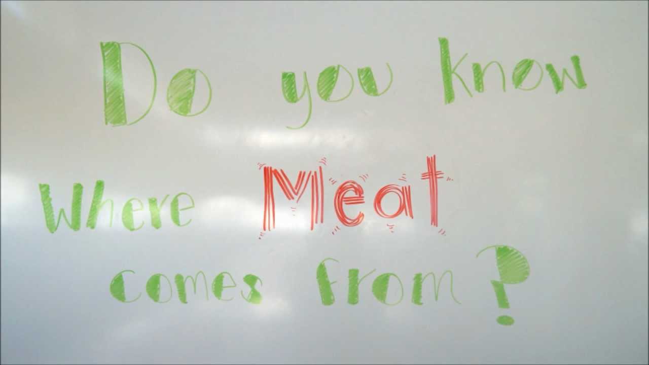 Meet your Meat