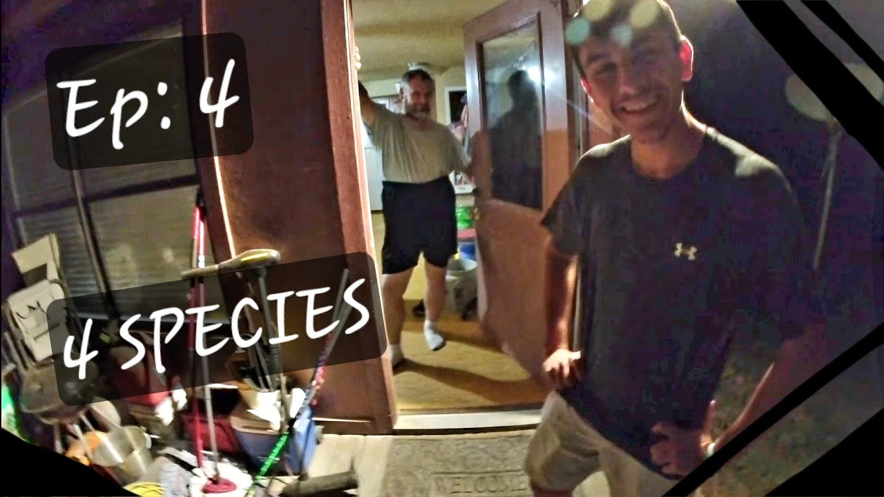 Ep: 4  4 Species In A CREEK