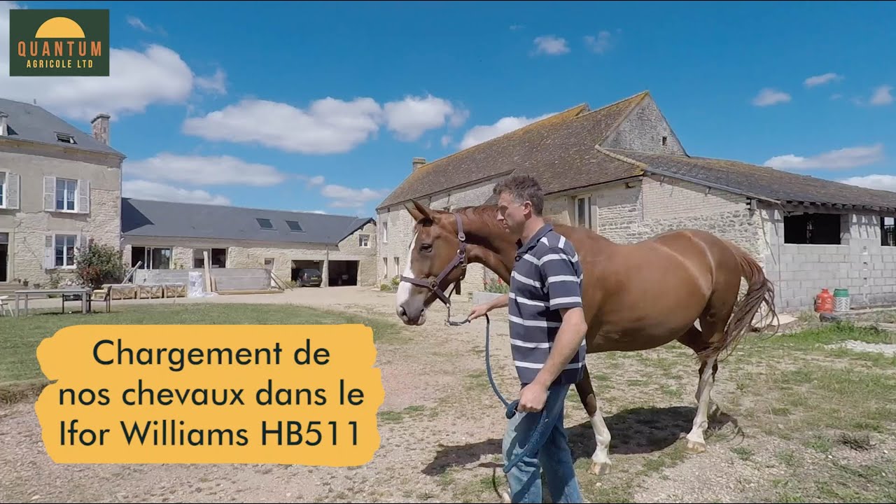 Ifor Williams HB511 - Embarquer nos chevaux