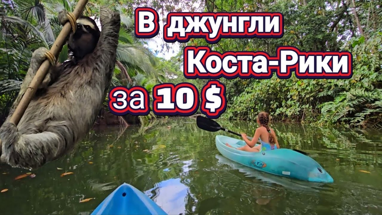 Коста-Рика своим ходом: экскурсия за 10$ в Пуэрто-Вьехо | Что посмотреть с детьми