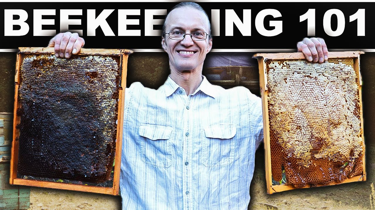 NATURAL BEEKEEPING FOR BEGINNERS (Dr. Leo Sharaskin) Homestead Hive Raising Bees Without Chemicals