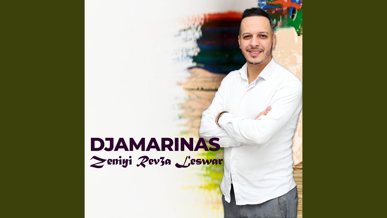 Zeniyi Rev3a Leswar