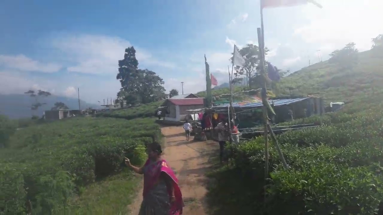 Keshav tea garden