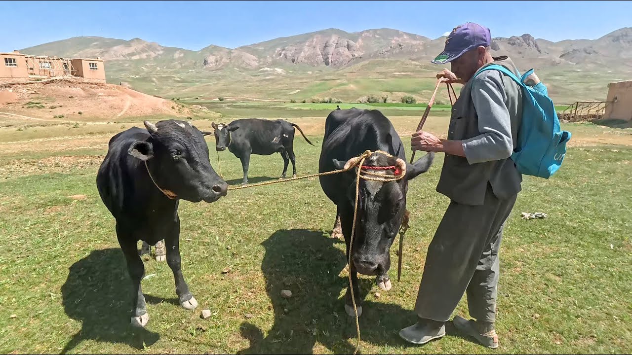 Mountain Living: A Day in the Life of Remote Villagers