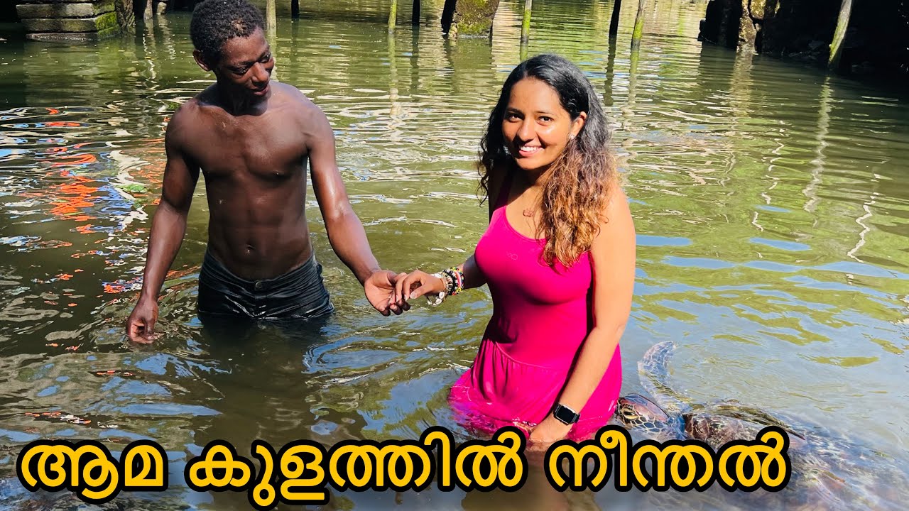 ആമ കടിച്ചു അലറി കരഞ്ഞു 🥹/Swimming with turtles 🐢 in Zanzibar island 🏝️