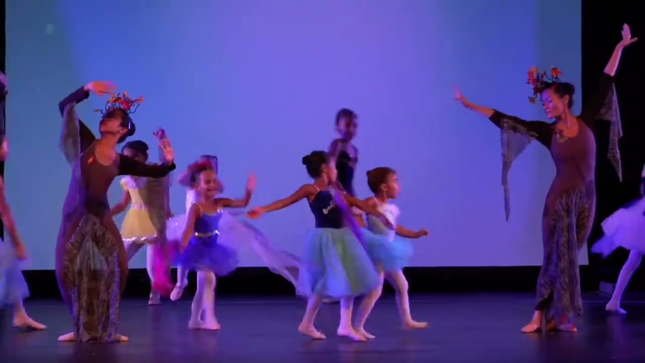 Every Dancer Is A Star