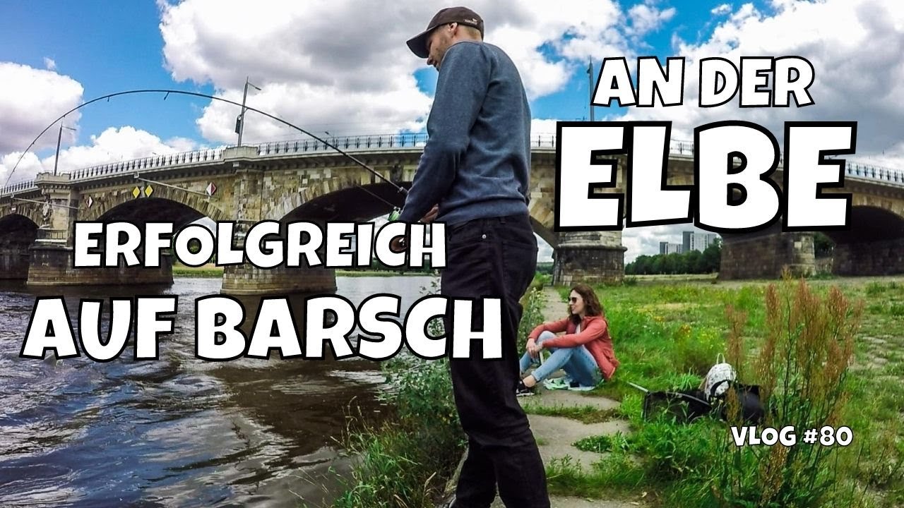 Erfolgreich Angeln auf Barsch im Sommer | Versuch auf Rapfen | Spinnfischen an der Elbe | Vlog #80