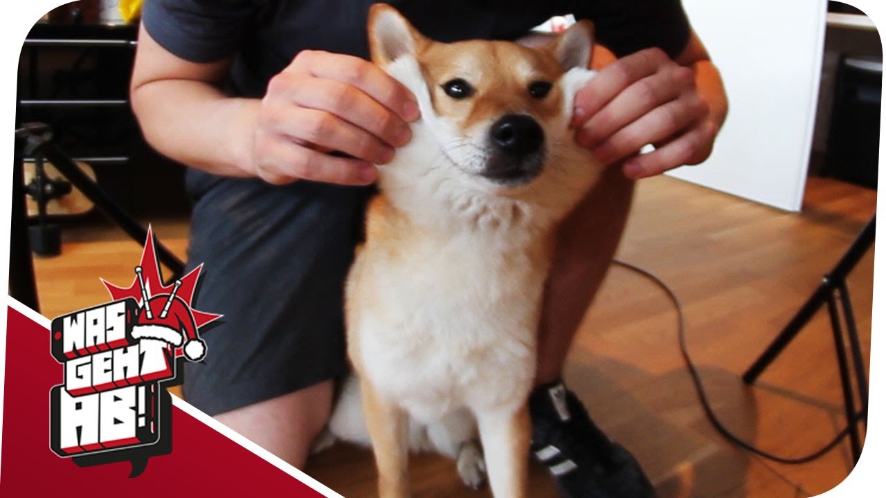Smiling Doggy - Outtakes!