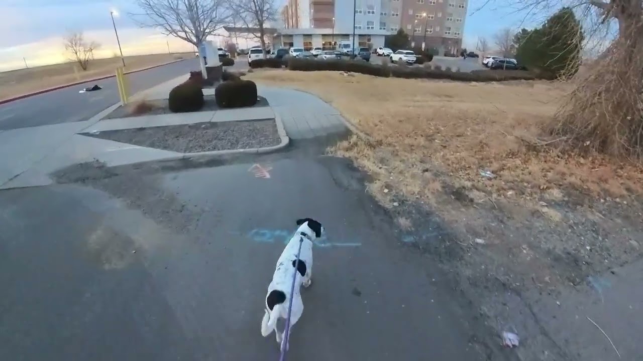Ramona and Brett Evening Run on Feb 16, 2026