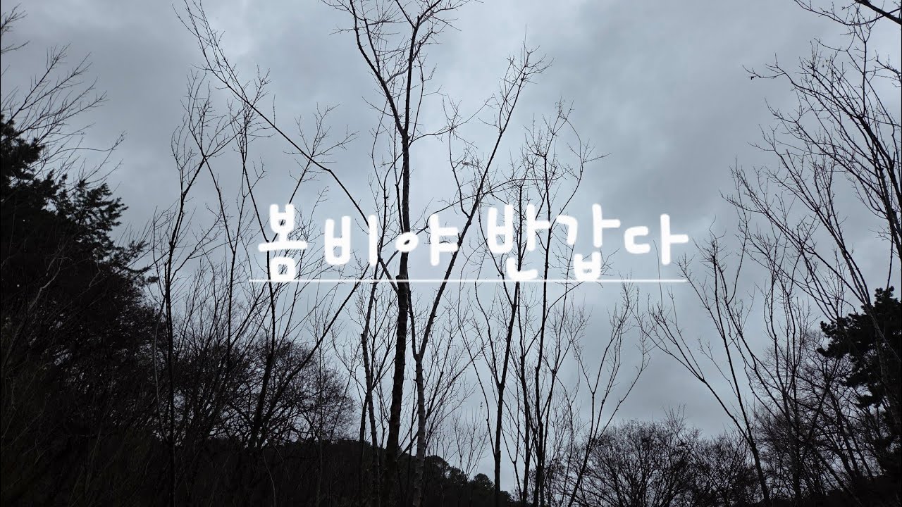 꽃샘  바람 부는 숲속