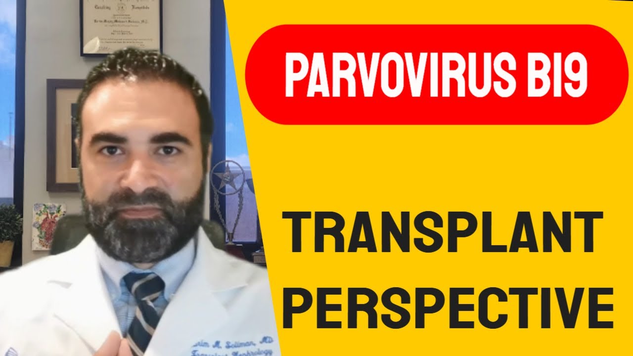 Parvovirus B19 | Transplant Perspective