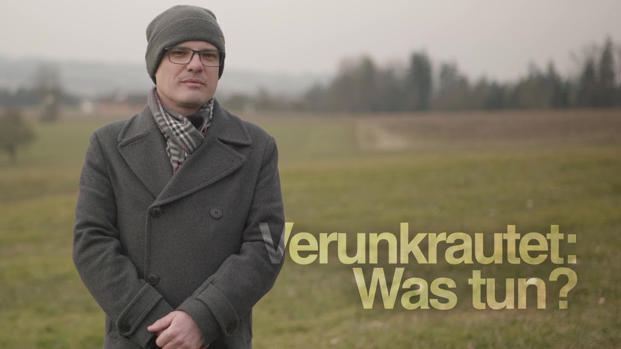 Gr&uuml;nland: Meine Biodiversit&auml;tsfl&auml;che ist verunkrautet, was kann ich tun?