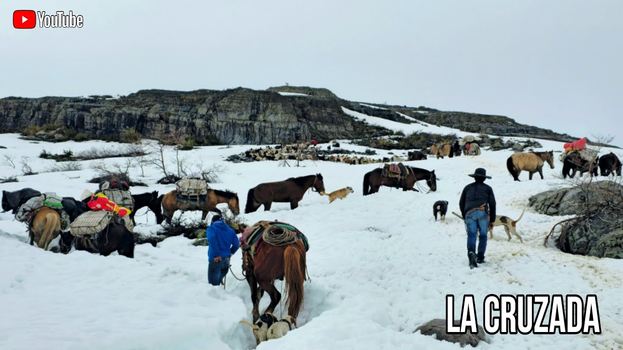 La Cruzada de las L&aacute;stimas por la Nieve de Ganado en lo alto de la cordillera Arrieros del Achibueno