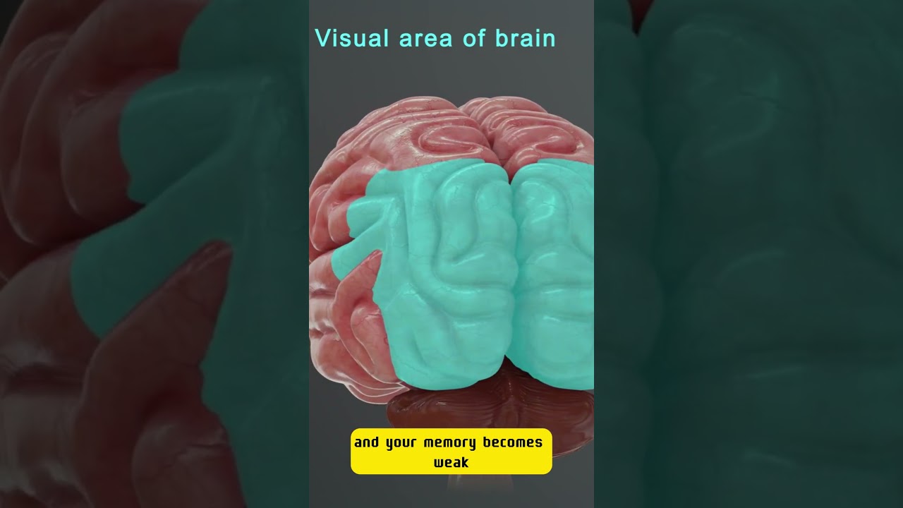 &ldquo;Students! Drink Water to Boost Focus & Memory  #healthtips #hydration #memoryhack #mystrova